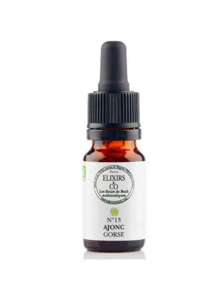 [724Ph240000317] Ajonc / Gorse N°13 Elixirs & Co