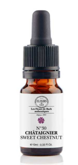 [724Ph240008349] Châtaignier / Sweet Chestnut N°30 Elixirs & Co